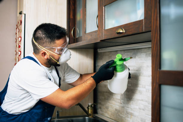 Best Affordable Pest Control Services  in Lakemoor, IL