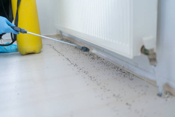 Best Best Pest Control Companies  in Lakemoor, IL